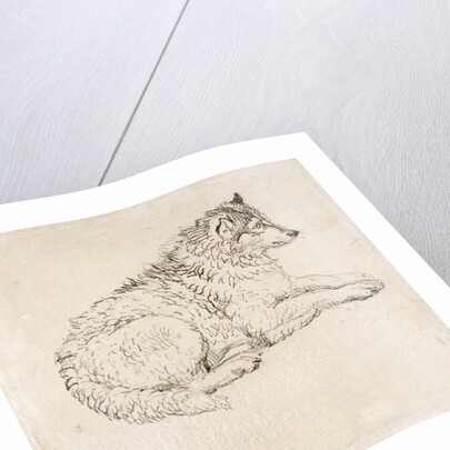 Arctic Dog, Facing Right by James Ward