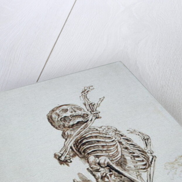 A Human Skeleton by James Ward