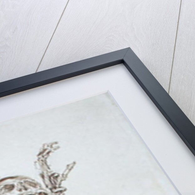 A Human Skeleton by James Ward