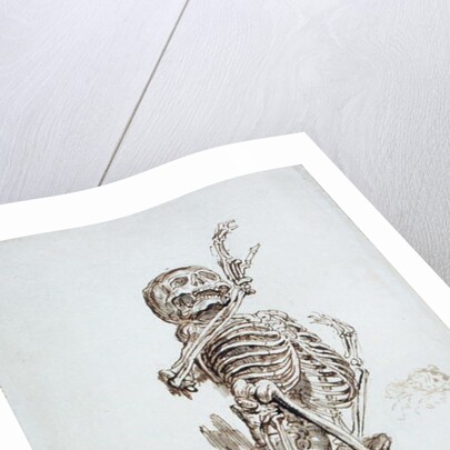A Human Skeleton by James Ward