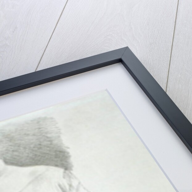 Study of Sculpture: from the Elgin Marbles by James Ward