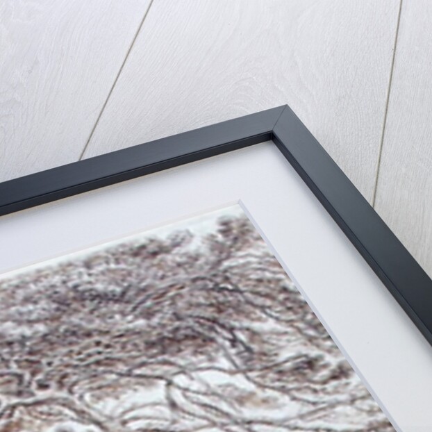 Study of Trees by James Ward