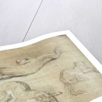 Ferrets by James Ward