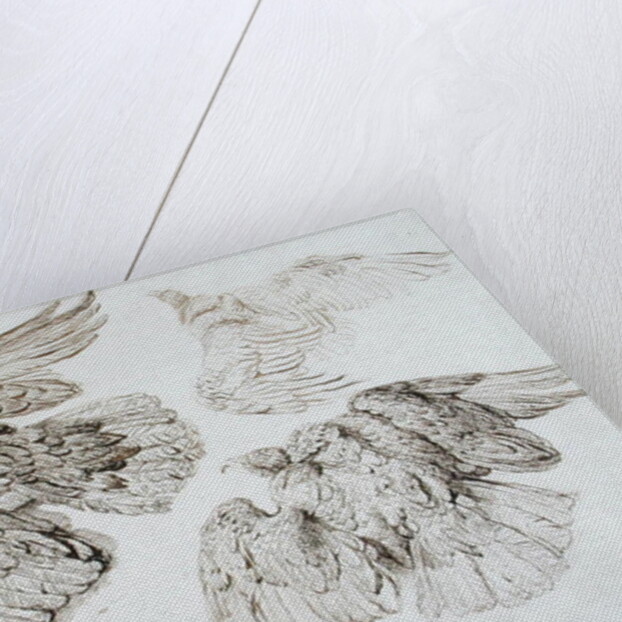 Eagles by James Ward