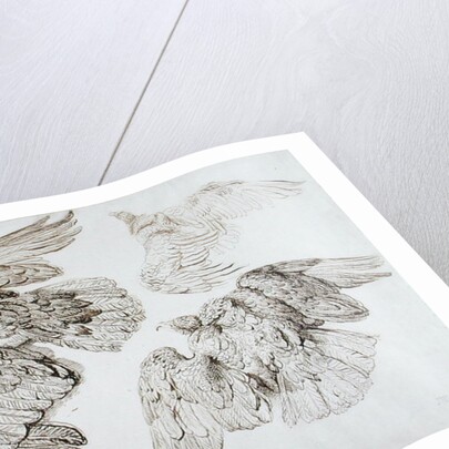 Eagles by James Ward