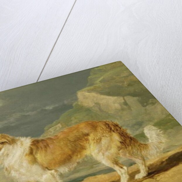 Rough-coated Collie, 1809 by James Ward