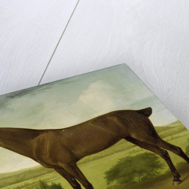 Brown Horse in a Hilly Landscape, c.1780-1800 by English School