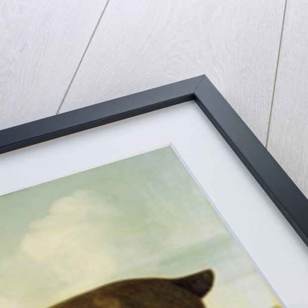 Brown Horse in a Hilly Landscape, c.1780-1800 by English School