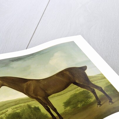 Brown Horse in a Hilly Landscape, c.1780-1800 by English School