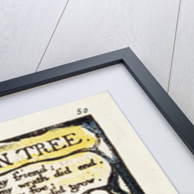 A Poison Tree by William Blake