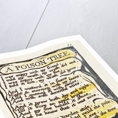 A Poison Tree by William Blake