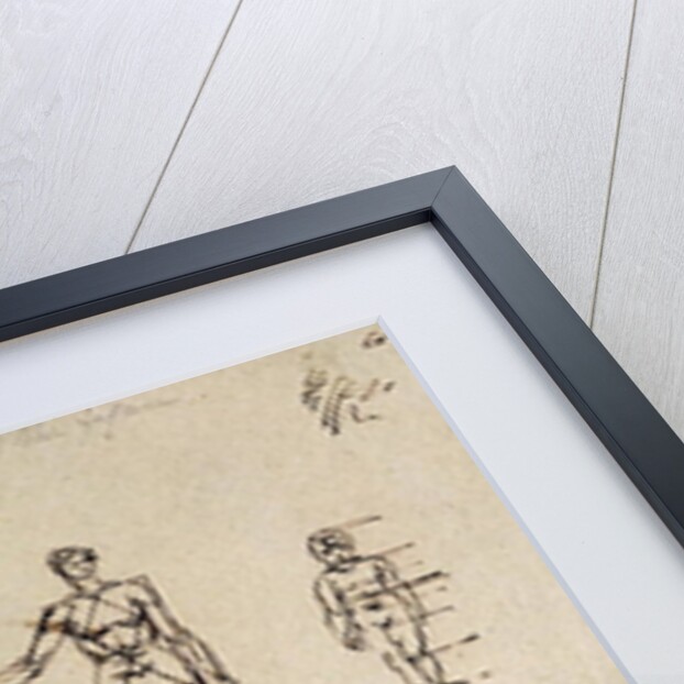 Studies of anatomy with measurements and writing by James Ward