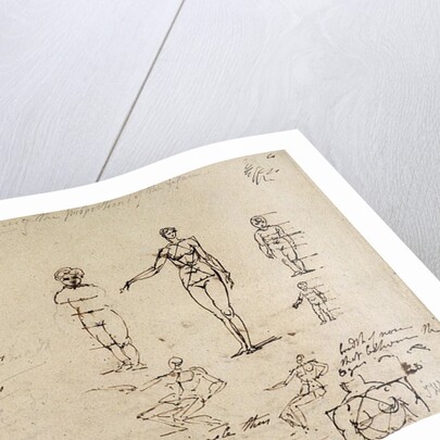 Studies of anatomy with measurements and writing by James Ward