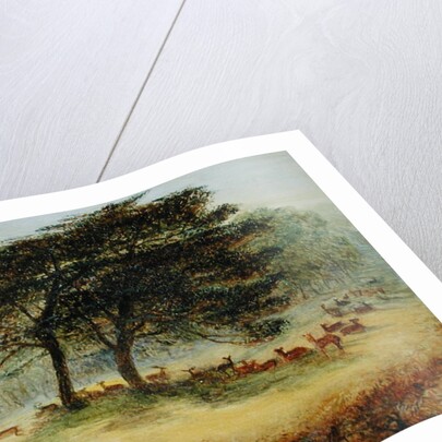 Lovers in Richmond Park by James Smetham