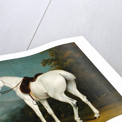 A Lady's Grey Hunter, c.1806 by Jacques-Laurent Agasse