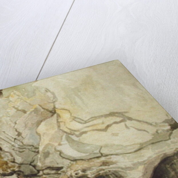 Looking Upwards from Devil's Bridge, Cardiganshire by James Ward