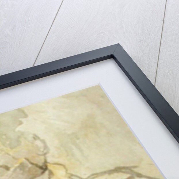 Looking Upwards from Devil's Bridge, Cardiganshire by James Ward