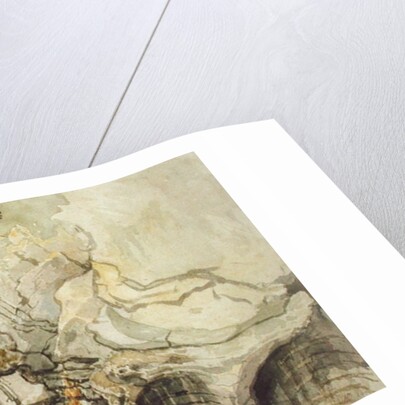 Looking Upwards from Devil's Bridge, Cardiganshire by James Ward