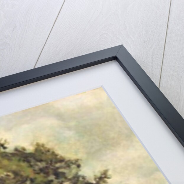 Study of an Ash Tree, c.1851 by Lionel Constable