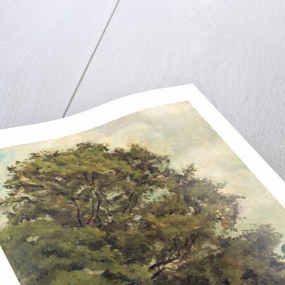 Study of an Ash Tree, c.1851 by Lionel Constable