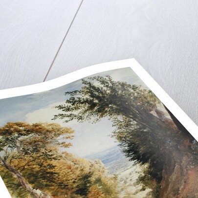 View from Rook's Hill, Kent, 1843 by Samuel Palmer