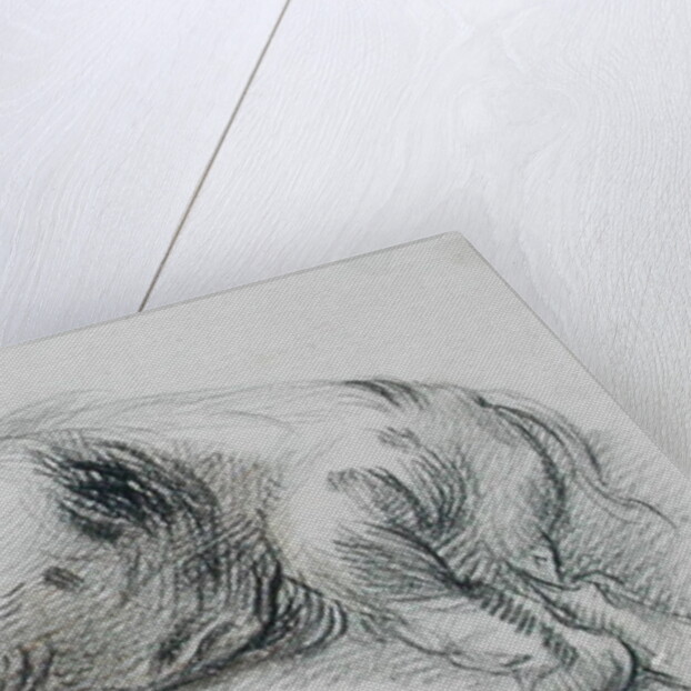 Sleeping Pig by James Ward