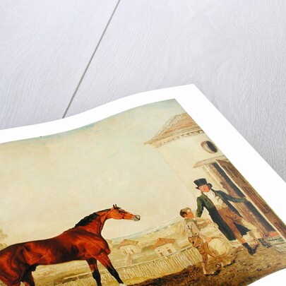 Sultan at the Marquess of Exeter's Stud, Burghley, 1826 by Lambert Marshall