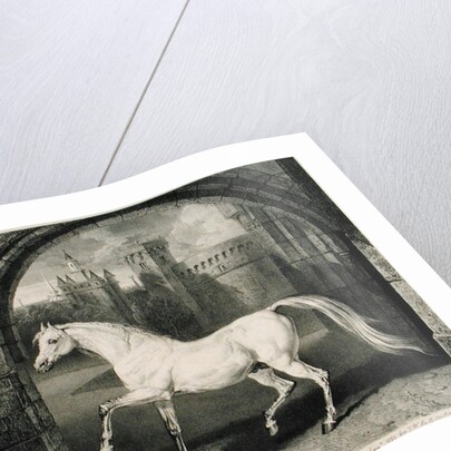 A Persian Horse by James Ward