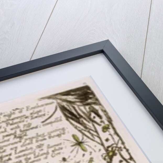 And the clouds & fires... by William Blake