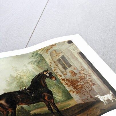 Lord Abergavenny's Dark Bay Carriage Horse with a Terrier, 1785 by Thomas Gooch