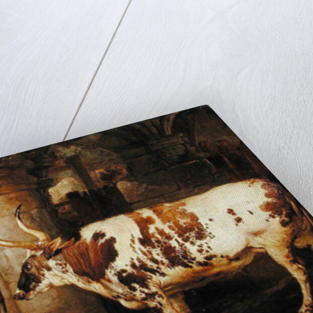 Portraits of two extraordinary oxen, the property of the Earl of Powis, 1814 by James Ward