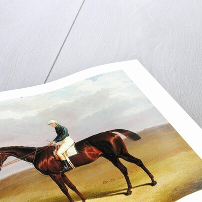 Margrave with James Robinson Up, 1833 by John Frederick Herring Snr