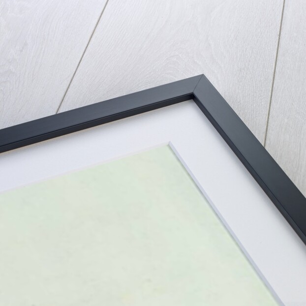 A Greyhound, Facing Left by James Seymour