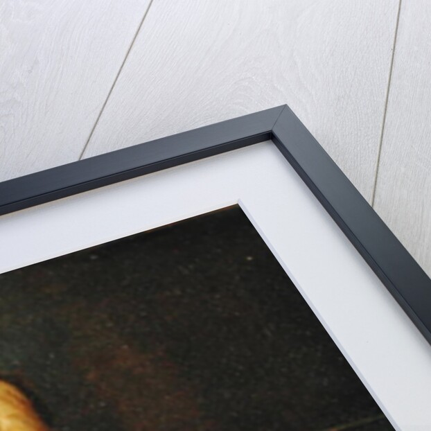 The Practical Joke by French School