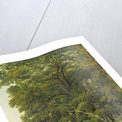 A Wooded Landscape by Ramsay Richard Reinagle