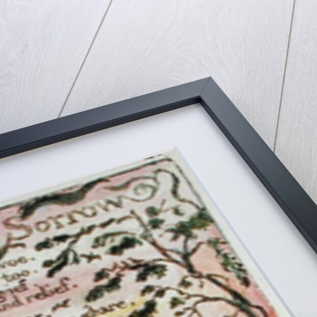 On Another's Sorrow by William Blake