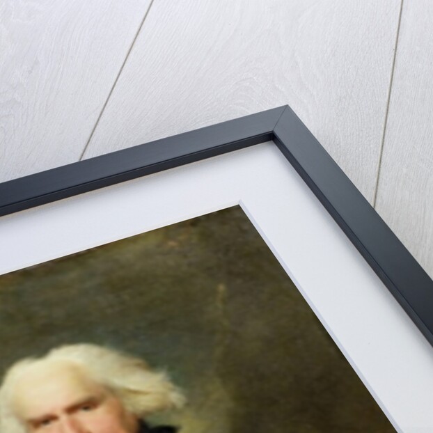 Admiral Lord Bridport c.1795 by Lemuel Francis Abbott