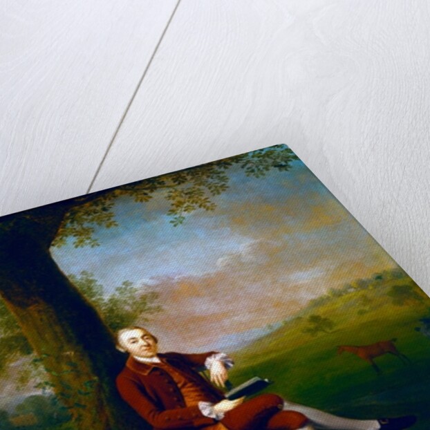 Portrait possibly of John Trevor, 3rd Baron Trevor of St. Anne's Hill, Surrey and Trevalyn Hall, Denbighshire, 1763 by Arthur Devis