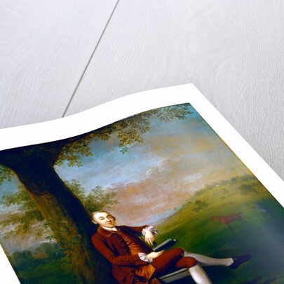 Portrait possibly of John Trevor, 3rd Baron Trevor of St. Anne's Hill, Surrey and Trevalyn Hall, Denbighshire, 1763 by Arthur Devis