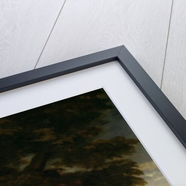 Diana Kirke, Later Countess of Oxford, c.1665-70 by Peter Lely