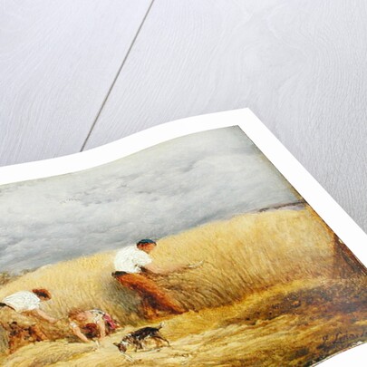 A finished study for 'Reaping', 1858 by John Linnell