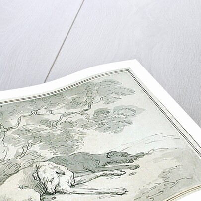 Greyhounds Asleep, by Thomas Rowlandson