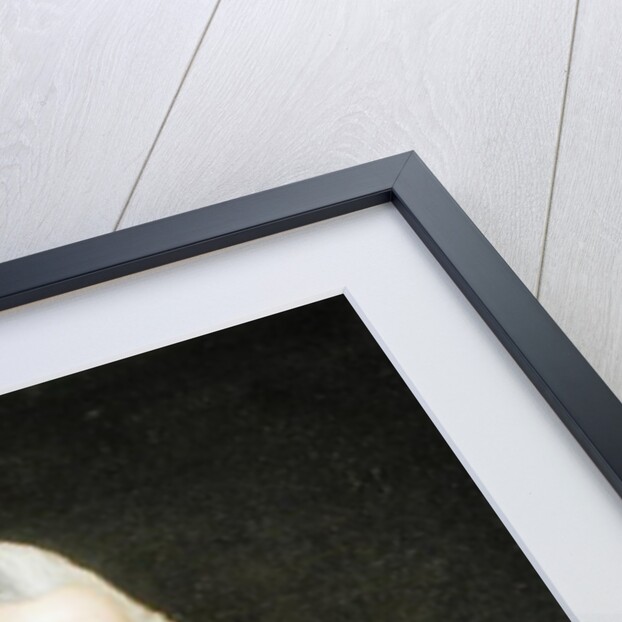 Self Portrait by Charles I Catton