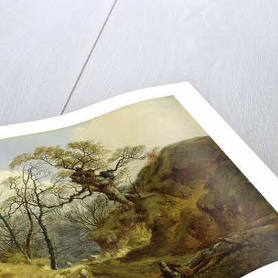 Crown Point, Whitlingham, near Norwich, 1855 by John Berney Ladbrooke