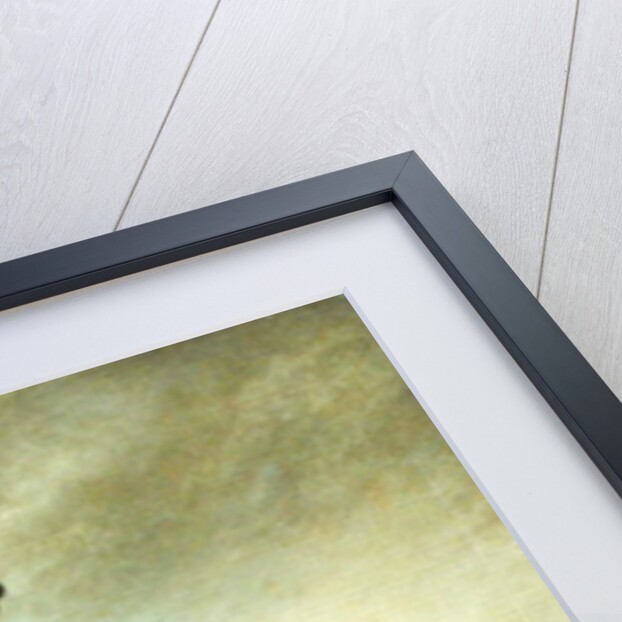 Thomas Le Blanc, c.1765-70 by Johann Zoffany