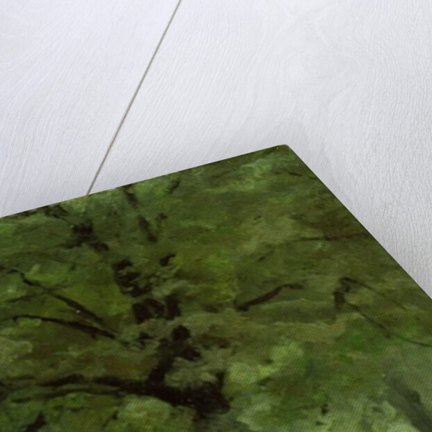 The Ladie's Mile, Kensington Gardens by Paul Fordyce Maitland