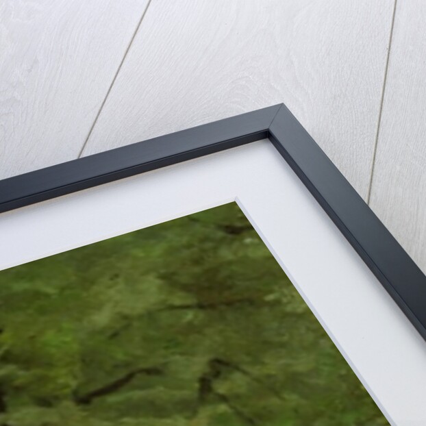 The Ladie's Mile, Kensington Gardens by Paul Fordyce Maitland