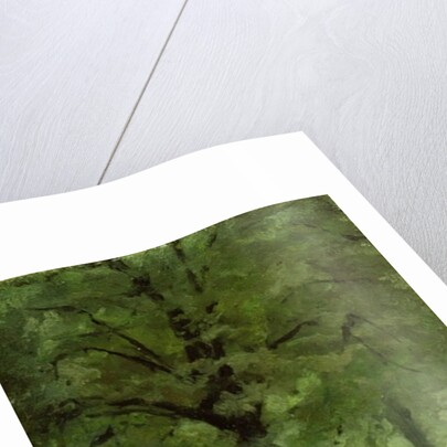 The Ladie's Mile, Kensington Gardens by Paul Fordyce Maitland