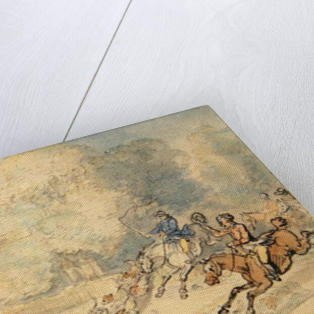 The Enraged Botanist by Thomas Rowlandson