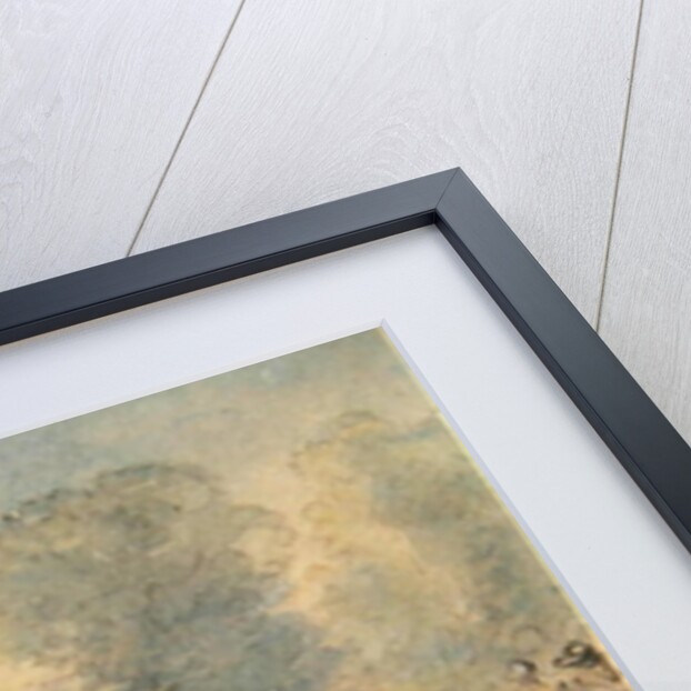 The Enraged Botanist by Thomas Rowlandson